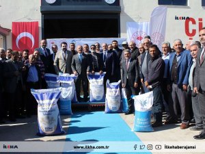 Çiftçilere 530 ton buğday tohumu dağıtımı gerçekleştirildi 