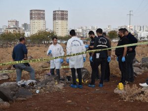 Şanlıurfa’da başından silahla vurulmuş erkek cesedi bulundu  