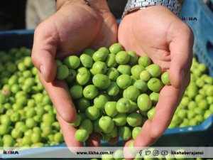 Mardin esnafı bu yılki zeytin sezonunu olumlu karşıladı 