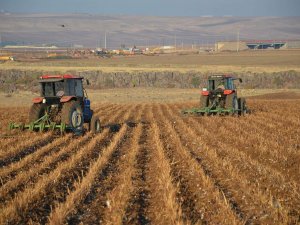 Tarım yatırımlarında hibeye esas proje tutarı limitleri yükseltildi