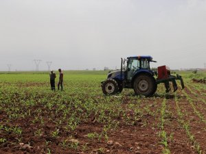 Çiftçi Kayıt Sistemine son başvuru 31 Aralıkta 