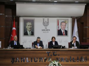 Şanlıurfada Türkiye Yüzyılı Vizyonu programı düzenlendi  