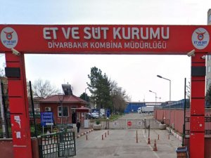 Depremde sahipsiz kalan hayvanları ESK alıyor 