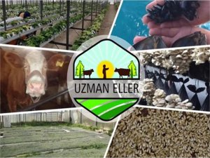 Uzman Eller Projeleri için başvurular başladı 