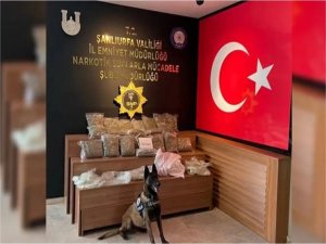 Şanlıurfa’da durdurulan aracın dorsesinde uyuşturucu ele geçirildi  