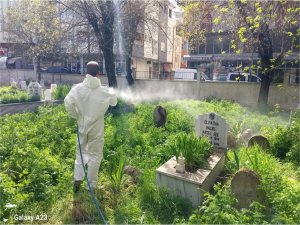 Mezarlıklarda yabani otlara karşı ilaçlama çalışması başlatıldı 