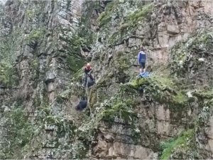 Batmanda kayalıklarda mahsur kalan keçiler kurtarıldı 