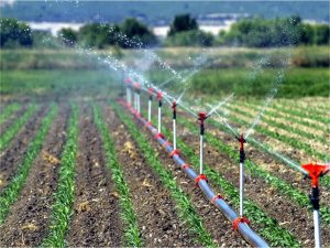 Çiftçilere tarımsal amaçlı su kullanımında yüzde 50 destek  