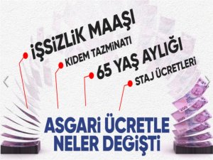 Asgari ücret artışının ardından diğer ödeme ve maaşta da artış! İşsizlik maaşı, engelli aylığı,kıdem tazminatı