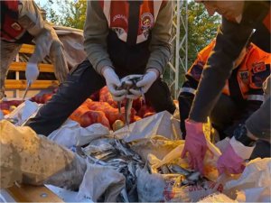 Vanda kaçak avlanan 55 ton inci kefaline el konuldu  