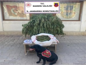 Mardin’de 4 buçuk kilo kubar esrar ele geçirildi  