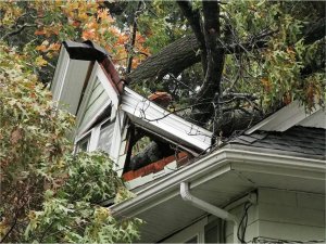 Meteorolojiden kuvvetli rüzgâr uyarısı