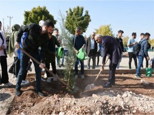 Hilvanda geleceğe nefes ol projesi kapsamında fidan dikimi yapıldı  