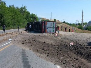 Et yüklü tır devrildi: Sürücü yara almadan kurtuldu  