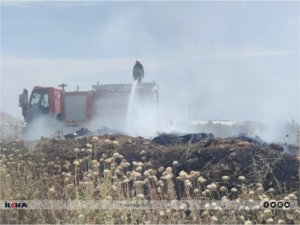 Mardin’de yüksek gerilim akımına kapılan güvercin yangına neden oldu