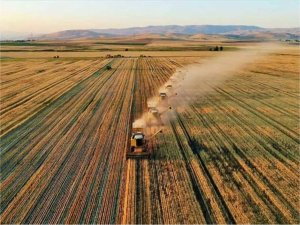 Tarımsal destekleme ödemeleri çiftçilerin hesaplarına aktarılacak 