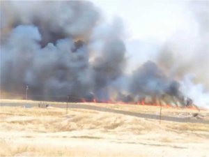 Suriye tarafındaki yangın Nusaybin’den görüntülendi  