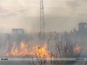 Diyarbakırda 3 farklı noktada tarla yangını: 70 dönüm ekili alan yandı  