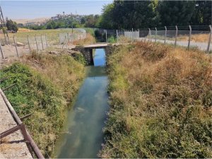 Yol kenarında tabancayla vurulmuş bir ceset bulundu  