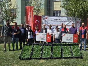 Şırnak’ta proje kapsamında 157 bin sebze fidesi fide dağıtıldı  