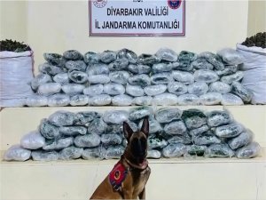 Bakan Yerlikaya: 1 ton 971 kilogram uyuşturucu, 267 bin adet uyuşturucu hap ele geçirildi  