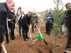 MAÜ Kampüsünde Geleceğe Nefes Oldular