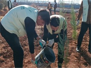 HÜDA PAR Şanlıurfa İl Gençlik Kolları’ndan fidan dikme programı  