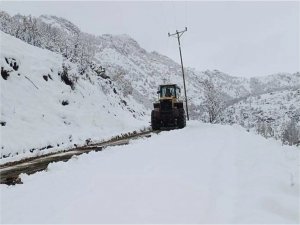 Şırnakta kar nedeniyle kapanan yollar açıldı  