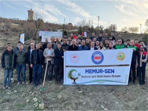 Şırnak’ta Mehmet Akif İnan hatıra ormanına fidan dikimi gerçekleştirildi  