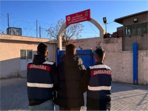 Mardin’de cezaevi firarisi yakalandı  