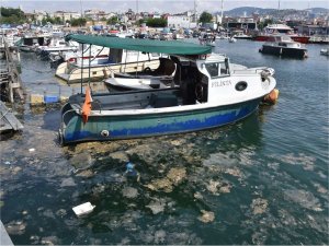 Marmara Denizinde müsilaj denetimleri: 10,3 milyon TL ceza  